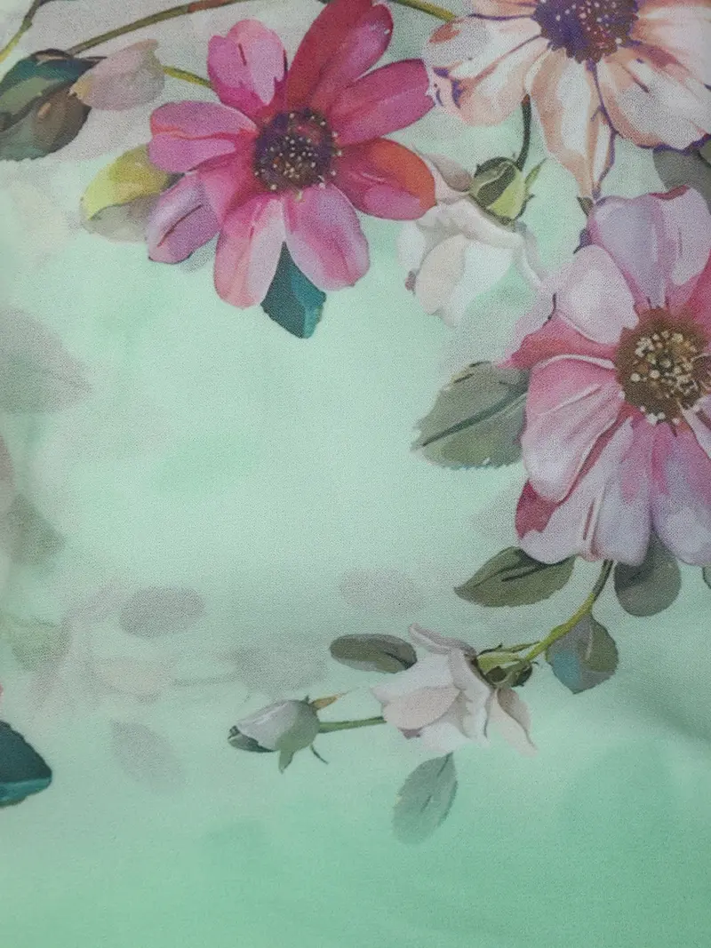 Pastel Mint Green Multicolor Floral Printed Chiffon Saree With Ombre Border 2