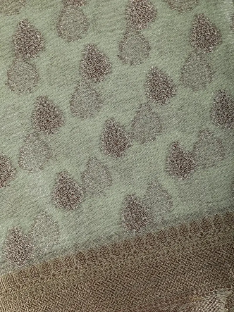 Pastel Sage Green Floral Motifs Design Tissue Silk Saree 2