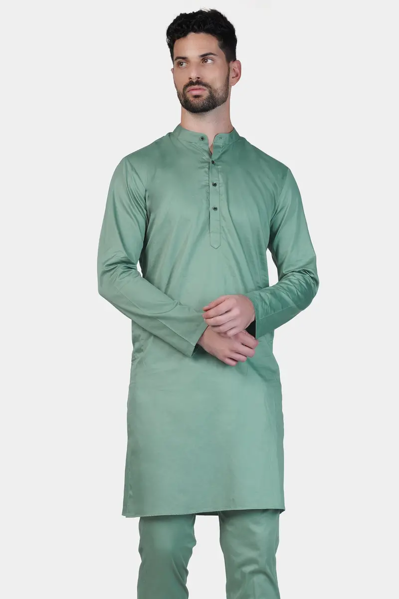 Patina Green Subtle Sheen Super Soft Premium Cotton Kurta 2