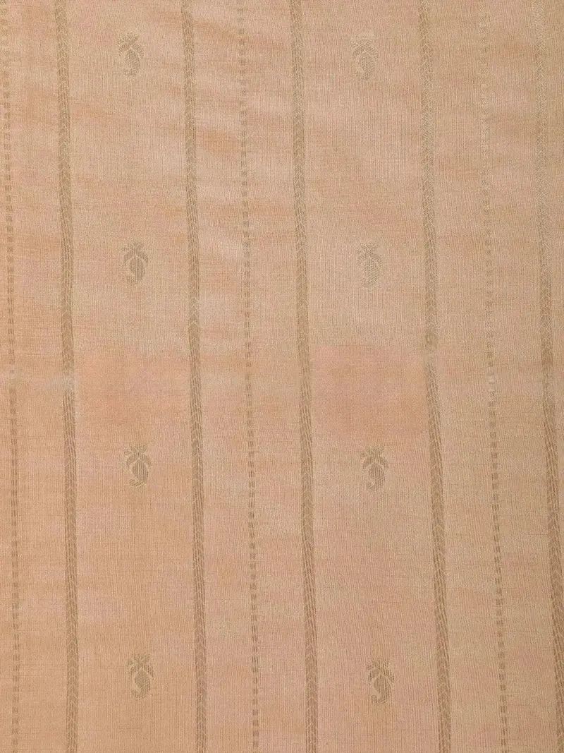 Peach Semi Tussar Silk Saree With Pineapple And Stripes Design On The Body With Zari Border 2