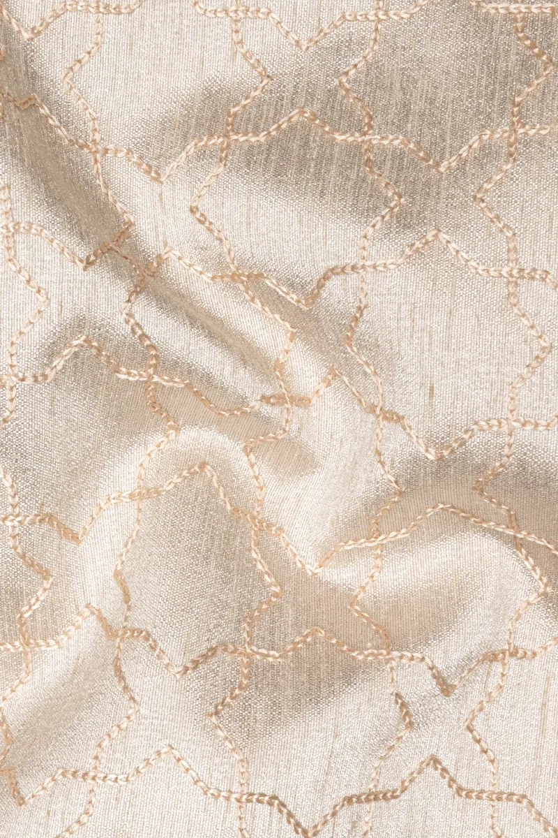 Pearl Bush Cream Hexagon Designer Embroidered Nehru Jacket 3