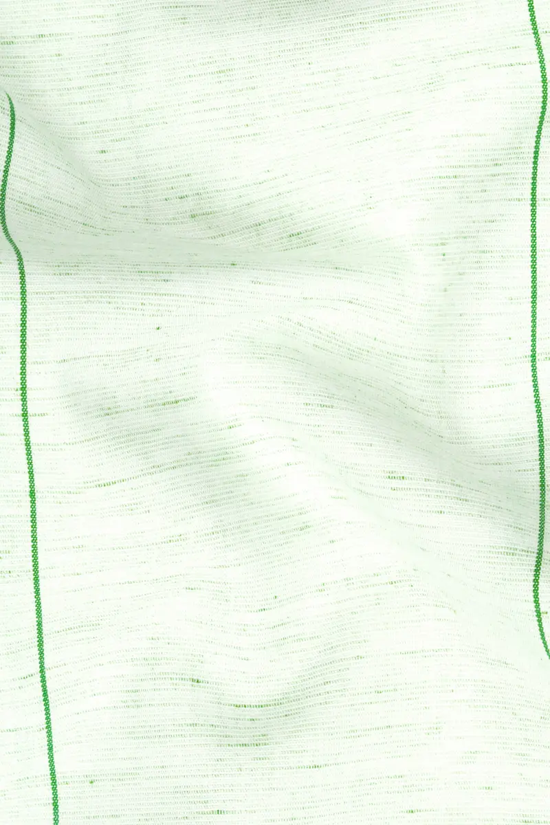Periglacial Green Striped Chambray Shirt 3