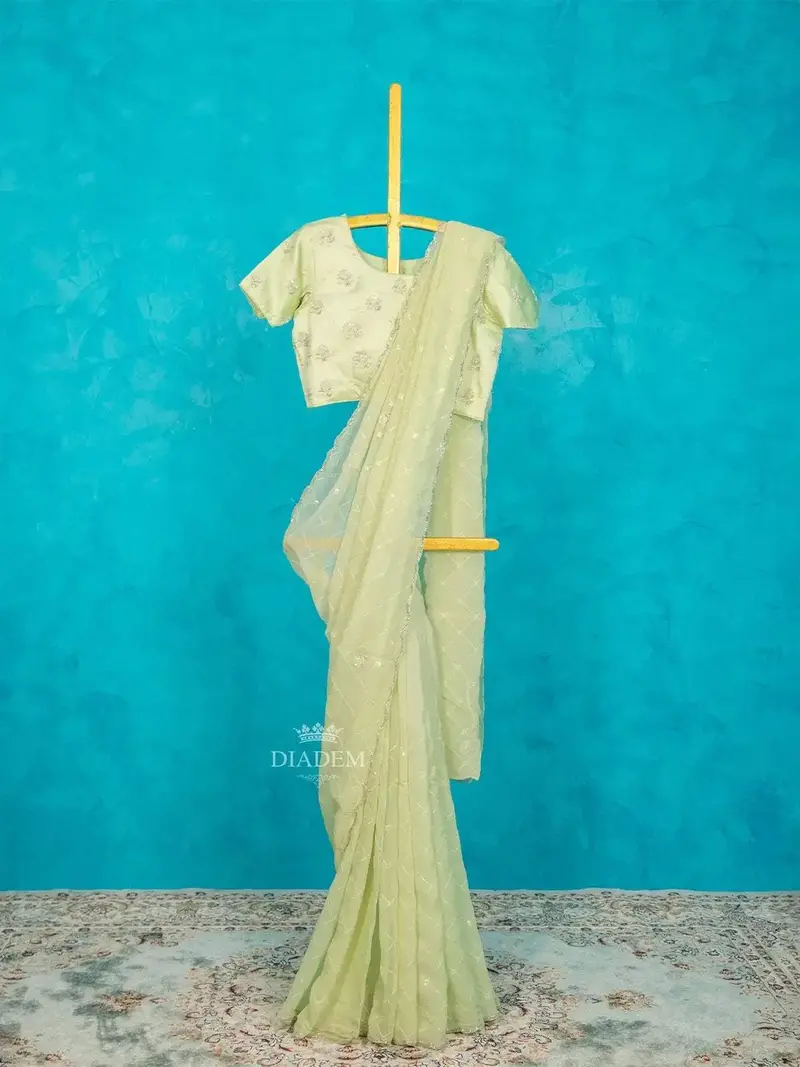 Pista Green Organza Silk Saree Embellished With Beads Border Along With Designer Blouse 1