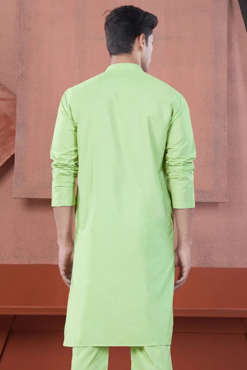 Pixie Green Subtle Sheen Viscose Kurta 7