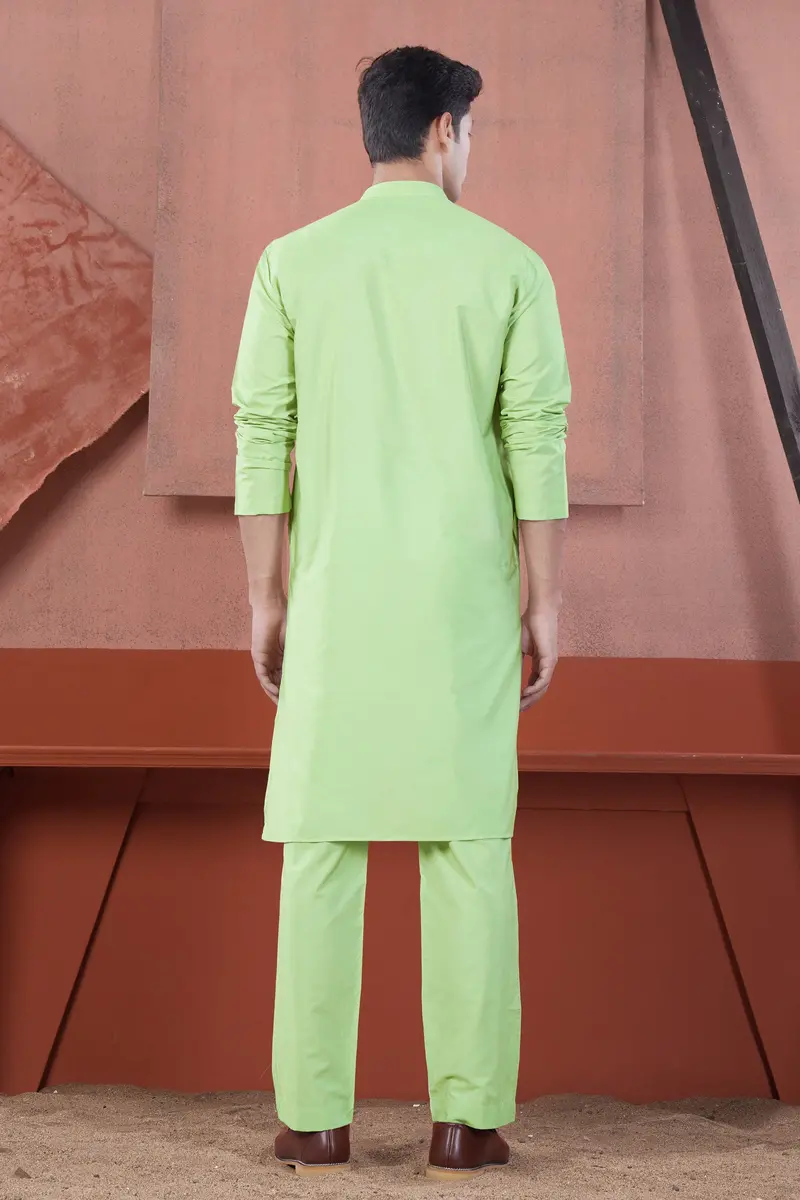 Pixie Green Subtle Sheen Viscose Kurta 9