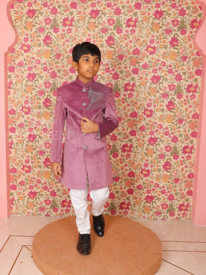 Purple Velvet Horse Designed Sherwani And Pant Set 1