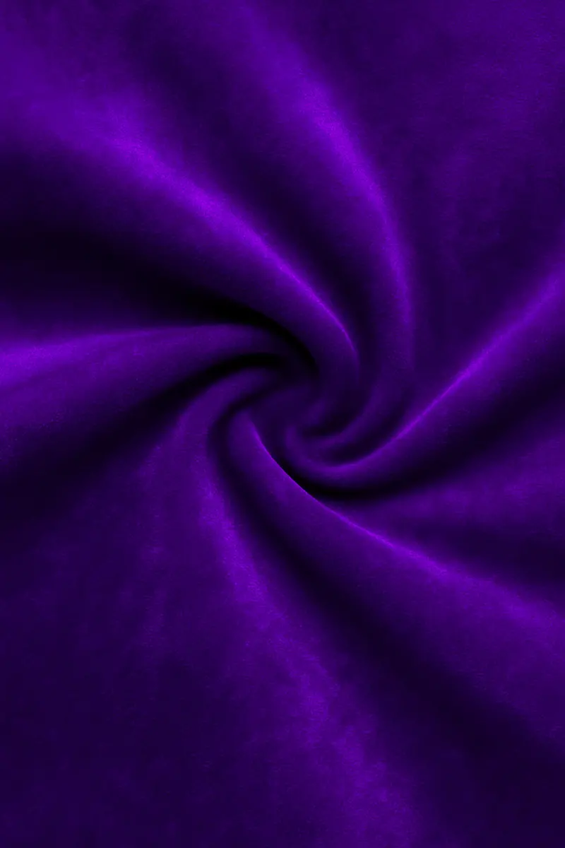 Purvion-Christalle Purple Velvet Stretchable Waistband Pant 3