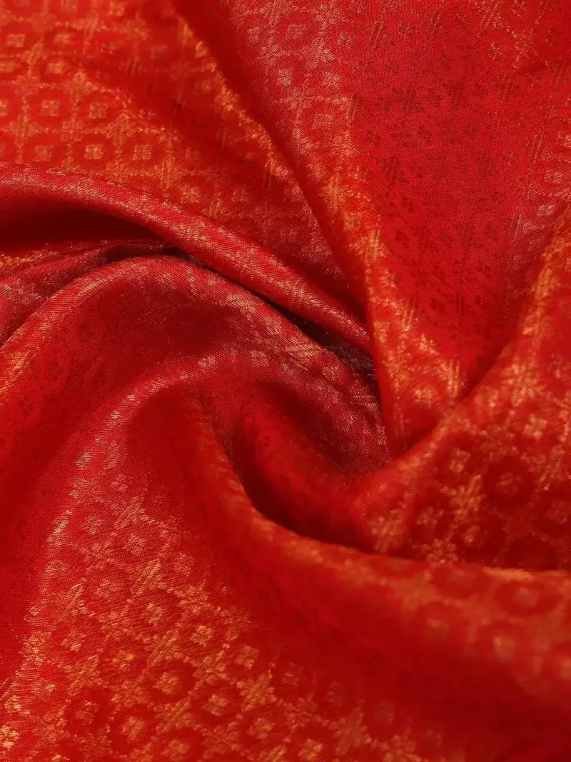 Red Pure Kanchipuram Bridal Silk Saree With Ruby Jacquard Design On The Body With Zari Border 2