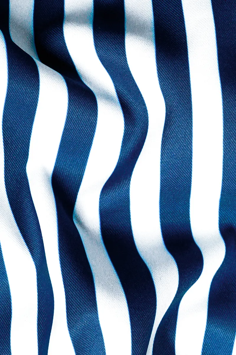 Regal Blue And White Stripes White Cuffs And Collar Subtle Sheen Super Soft Premium Cotton Designer Shirt 3