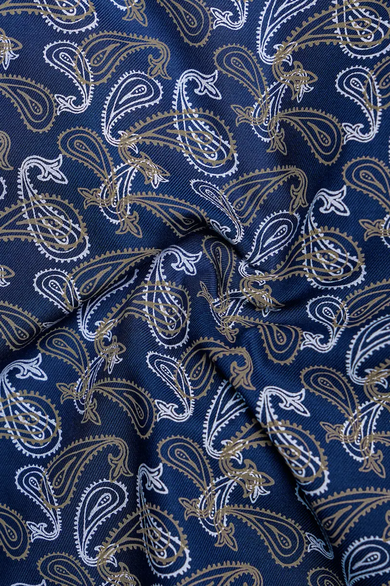 Rivara-Downriver Blue Paisley Art Printed Twill Super Soft Premium Cotton Shorts 3