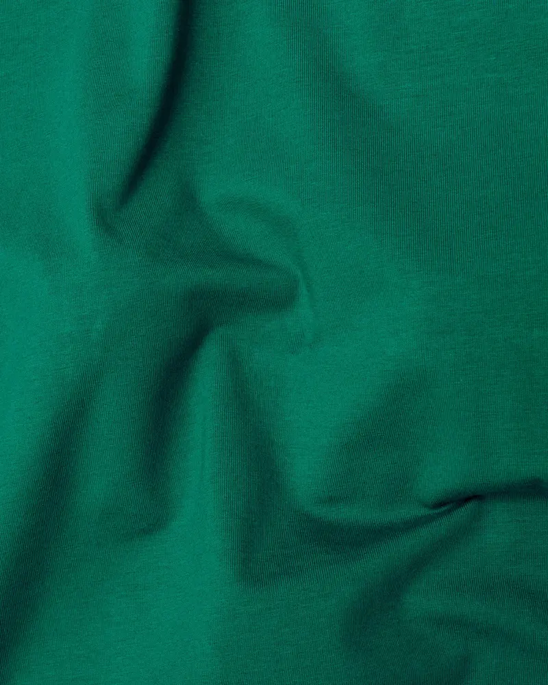 Sacramento Green Super Soft Premium Organic Cotton T-Shirt 3