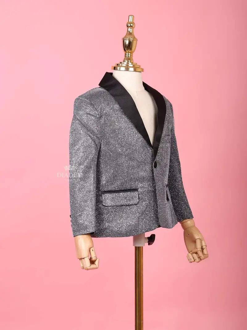Silver Shimmer Tuxedo Full Sleeve Blazer For Boys 3