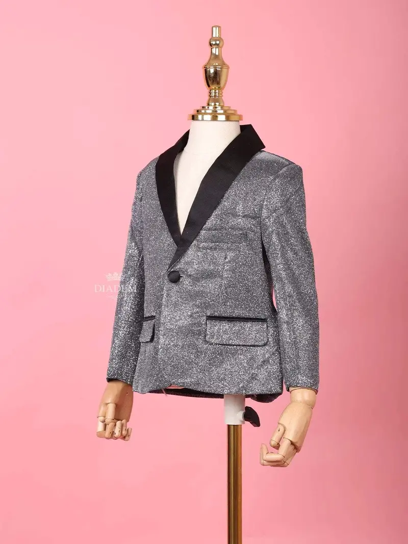 Silver Shimmer Tuxedo Full Sleeve Blazer For Boys 4