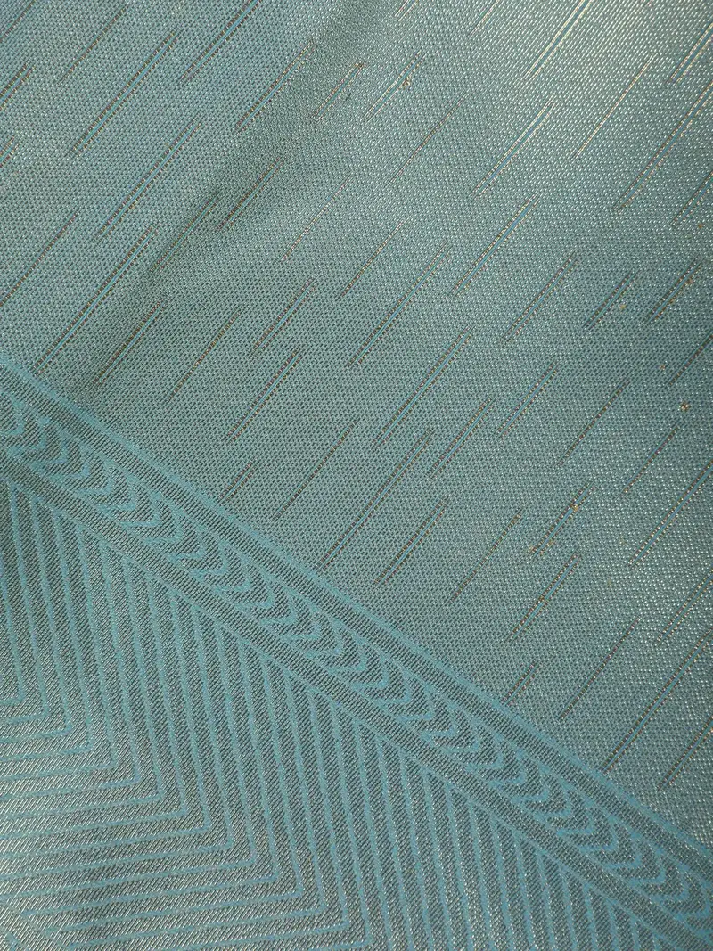 Sky Blue Minimal Design Woven Tissue Silk Saree 2