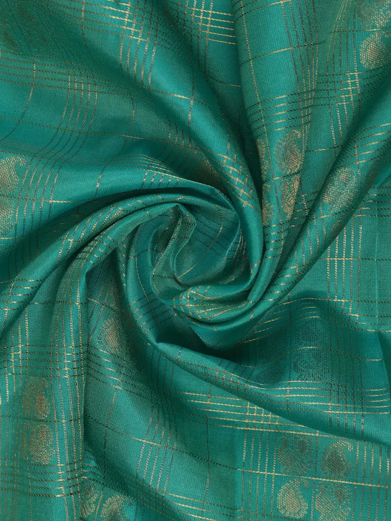 Sky Blue Peacock Butta And Checks Woven Silk Saree 2