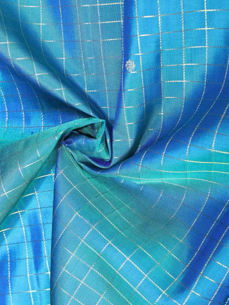Sky Blue Pure Kanchipuram Bridal Silk Saree With Checked Design On The Body With Contrast Border 2