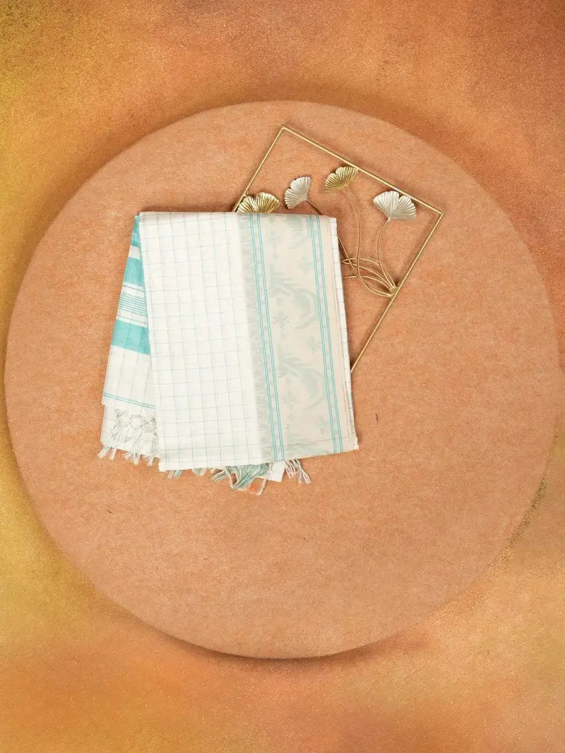 White Linen Cotton Saree With Check Pattern On The Body With Designed Border 1