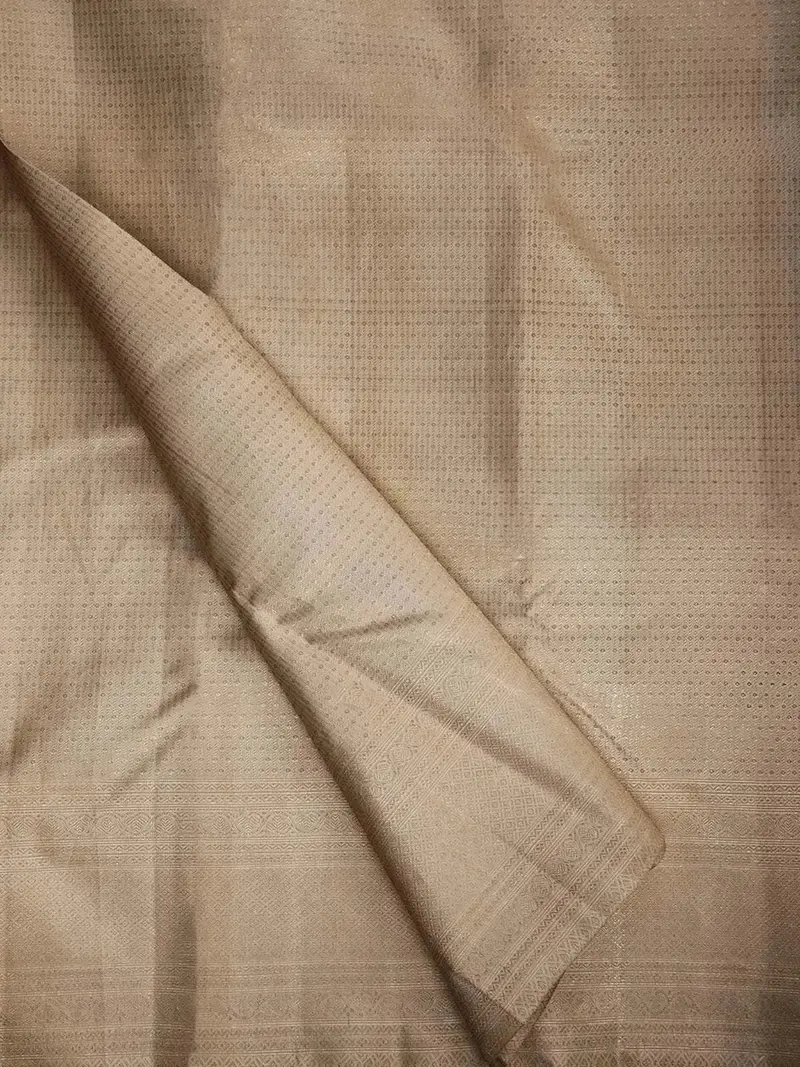 White Pure Kanchipuram Bridal Silk Saree With Dot Motifs On The Body With Designed Matching Border 2