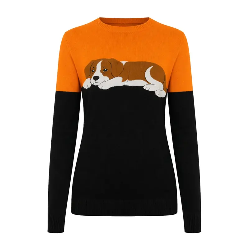 Women's Vintage Design Crochet Knitwear For Dogs 1