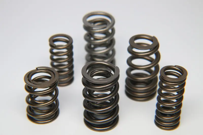 Ferrea Dual Valve Spring Kit For Nissan Ka24De Engine (Single Set) 1